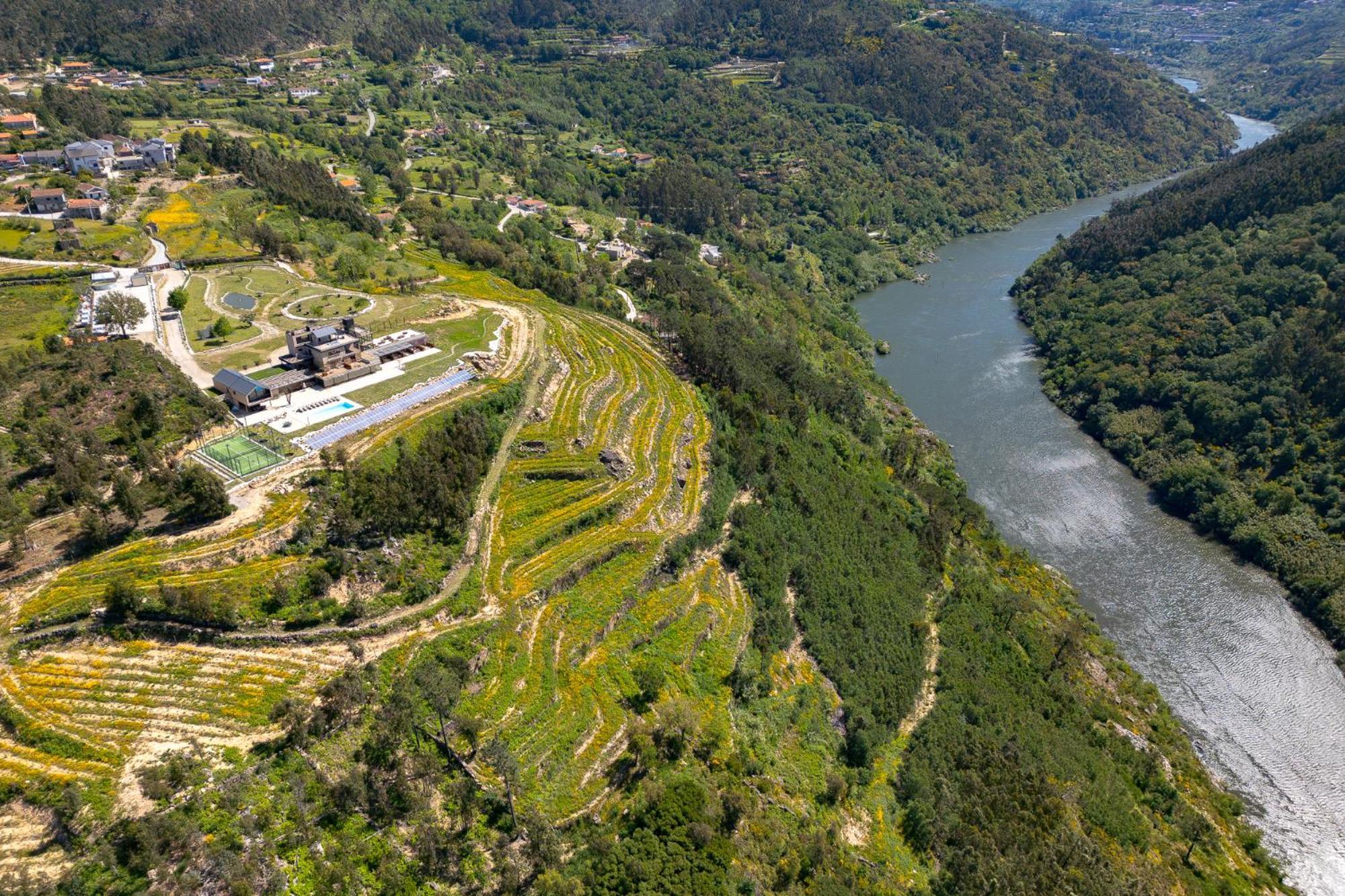 Quinta De Cabanas Douro Country House Penha Longa Dış mekan fotoğraf